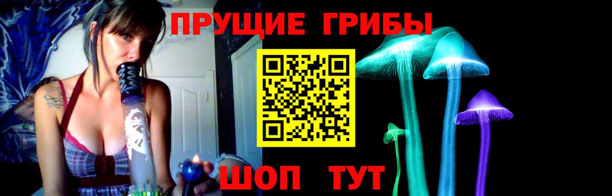 Псилоцибиновые грибы мухоморы  Вход с VPN  где купить наркоту  Сатка  Псилоцибиновые грибы мицелий 